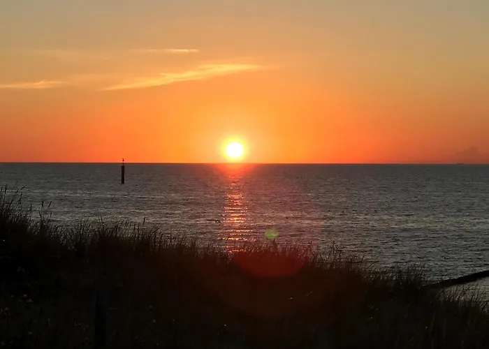 Monika Dom wakacyjny