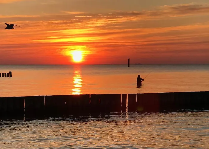 Monika Dom wakacyjny